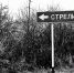 В 7 раз урежь – один убавь - Semiluki.Ws