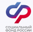 Отделение СФР по Воронежской области выплатило пособие по беременности и родам 2 118 жительницам региона. - Администрация муниципального района