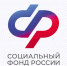 Более 3 тысяч сертификатов на материнский капитал выдало Отделение СФР по Воронежской области проактивно с начала года. - Администрация муниципального района